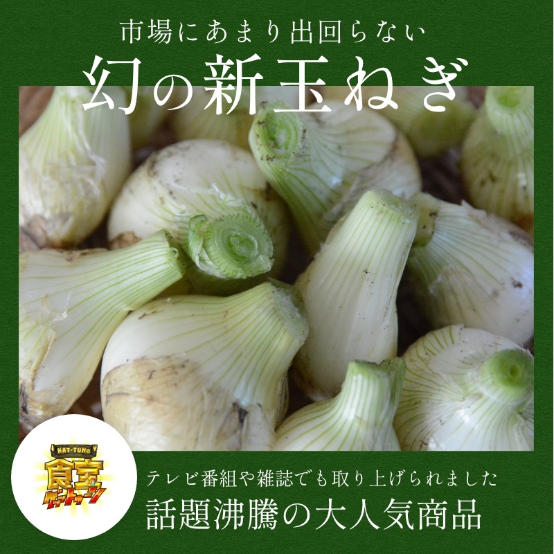 浜松産白玉ねぎプレミアムホワイト葉付きA級品（L30玉）