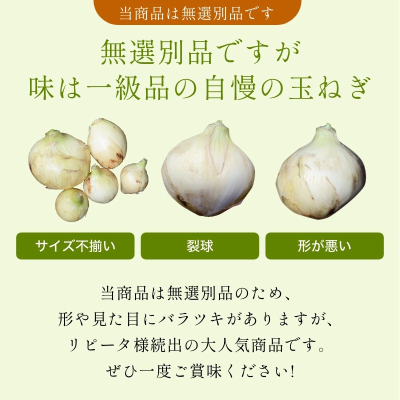 浜松産白玉ねぎプレミアムホワイト無選別品(5kg)