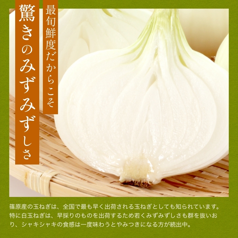 浜松産白玉ねぎプレミアムホワイト無選別品(5kg)