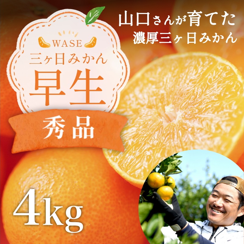 三ケ日みかん「早生（わせ）」4kg（S～LLミックスサイズ）（秀品相当）
