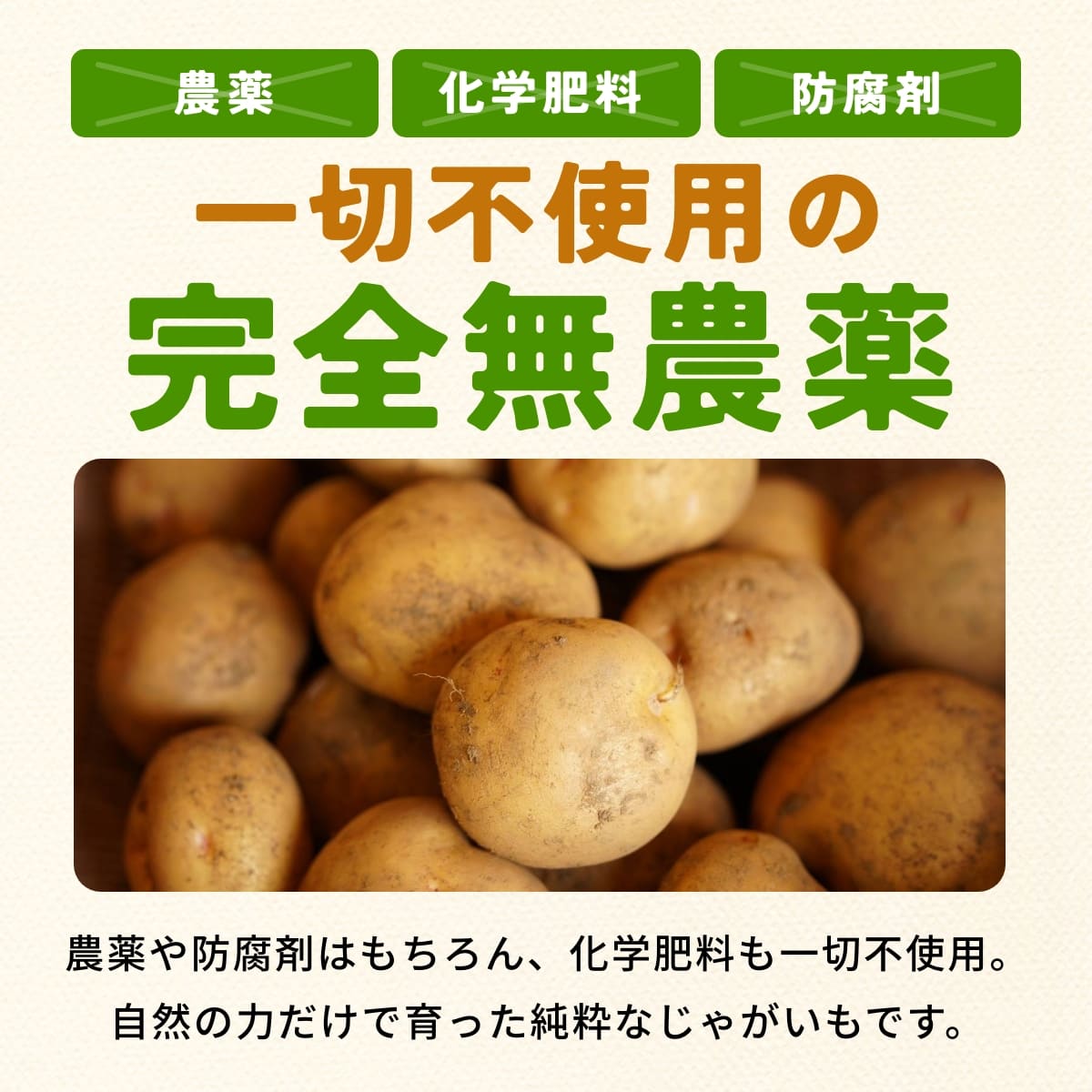 位田さんの完全無農薬じゃがいも 4kg【無選別品】