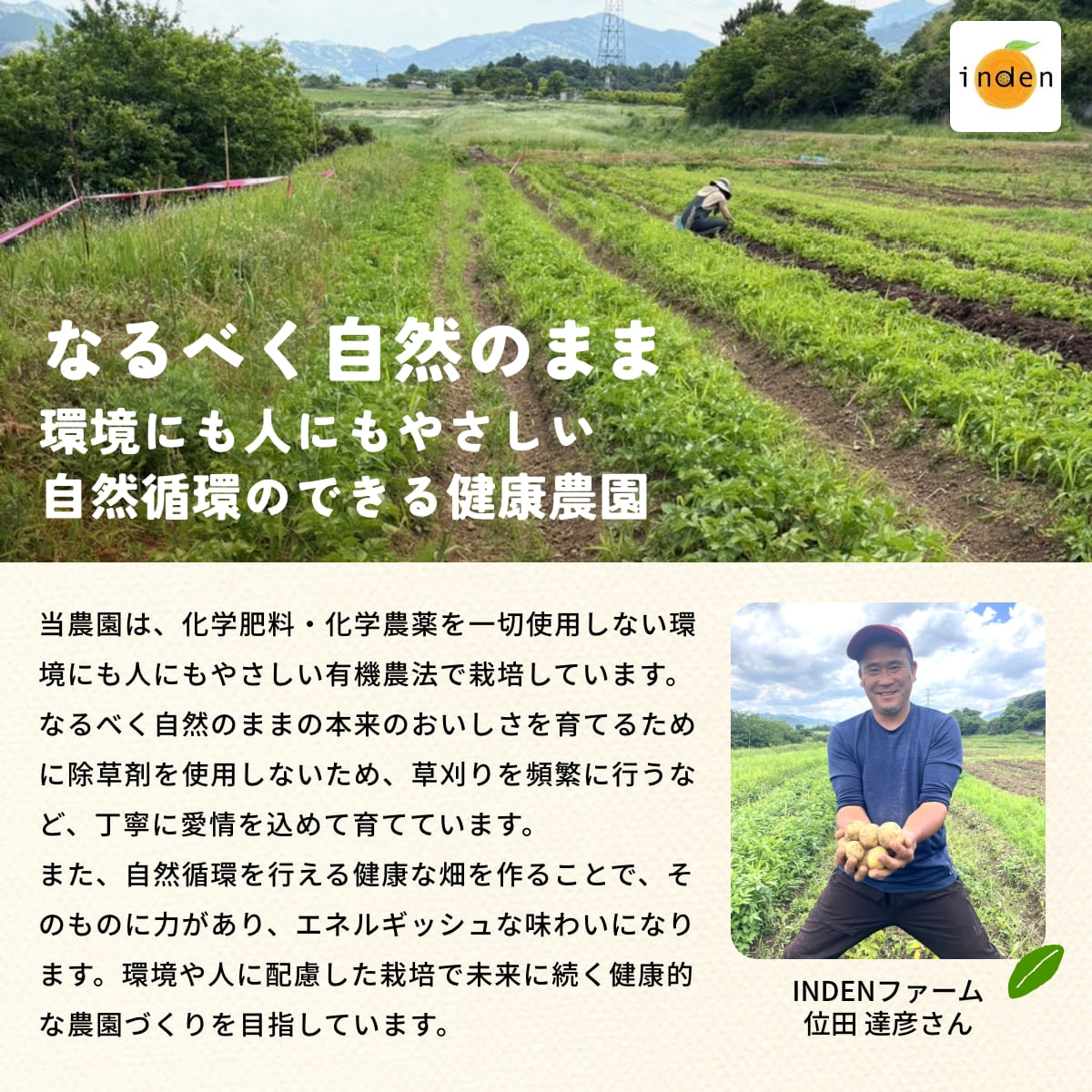 位田さんの完全無農薬じゃがいも 4kg【無選別品】