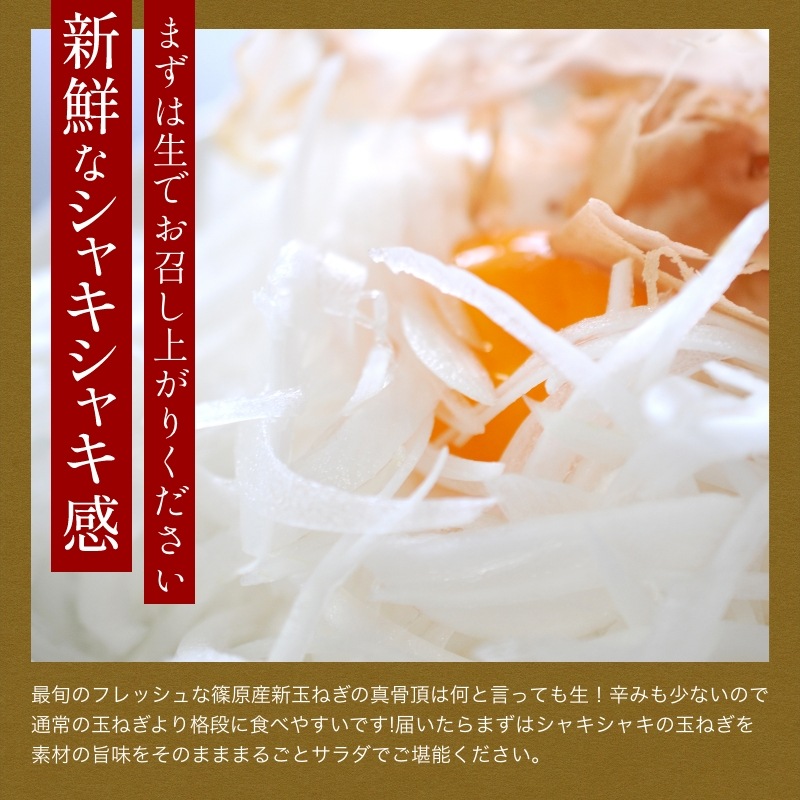 【最旬】浜松産新玉ねぎプレミアムフレッシュ無選別品（10kg）