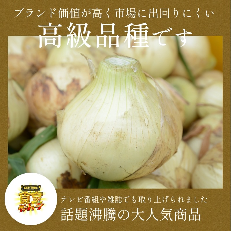 【最旬】浜松産新玉ねぎプレミアムフレッシュ無選別品（10kg）