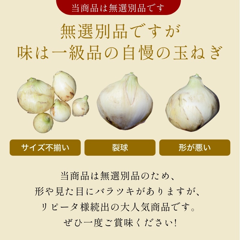 【最旬】浜松産新玉ねぎプレミアムフレッシュ無選別品（10kg）