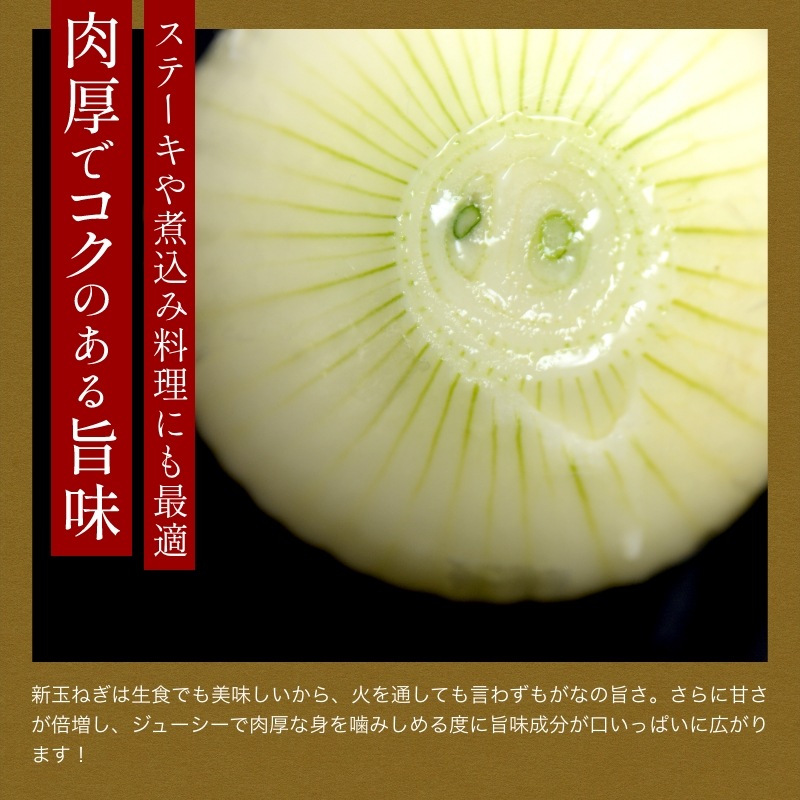 【最旬】浜松産新玉ねぎプレミアムフレッシュ無選別品（10kg）