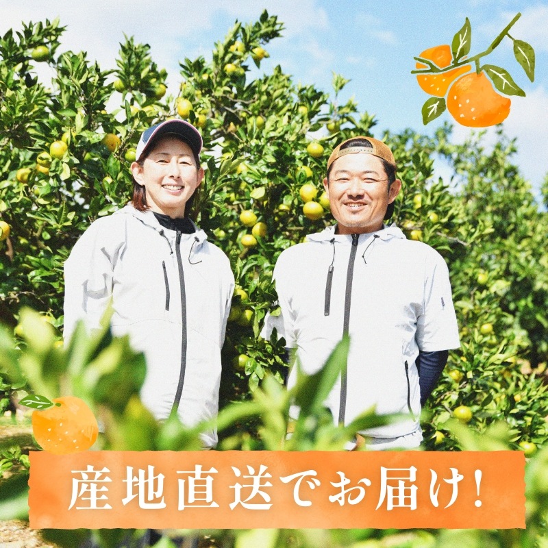 三ケ日みかん「早生（わせ）」8kg（S～LLミックスサイズ）（秀品相当）