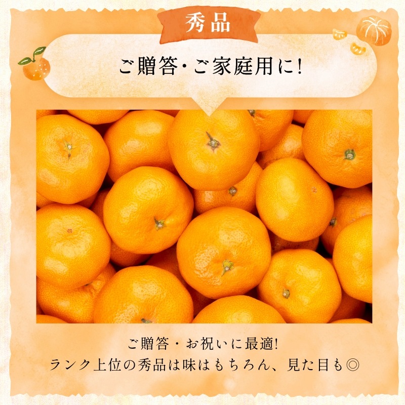 三ケ日みかん「早生（わせ）」8kg（S～LLミックスサイズ）（秀品相当）