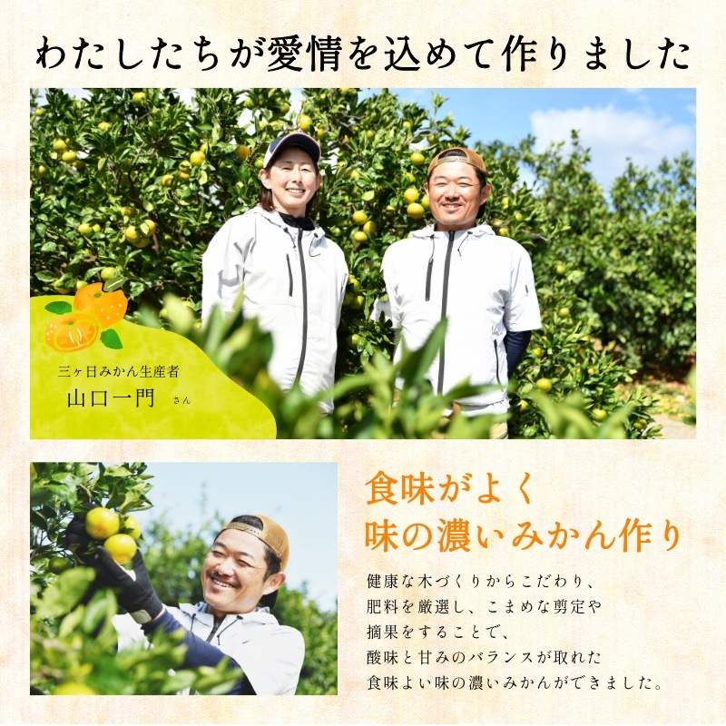 三ケ日みかん「早生（わせ）」8kg（S～LLミックスサイズ）（秀品相当）