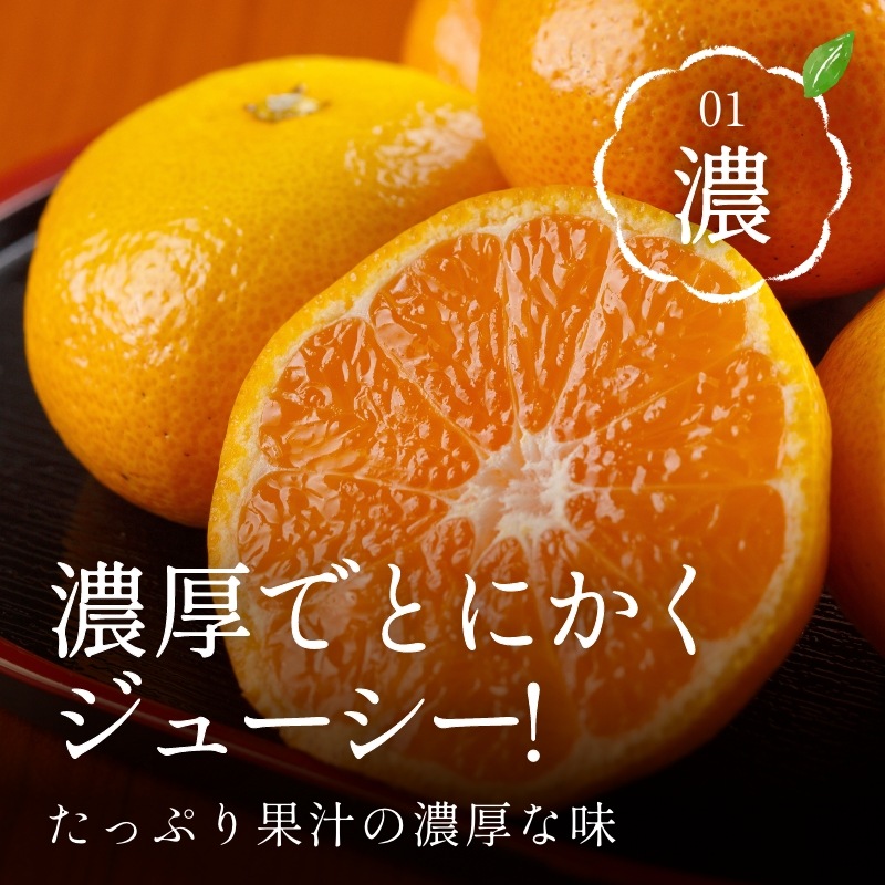 三ケ日みかん「早生（わせ）」8kg（S～LLミックスサイズ）（秀品相当）