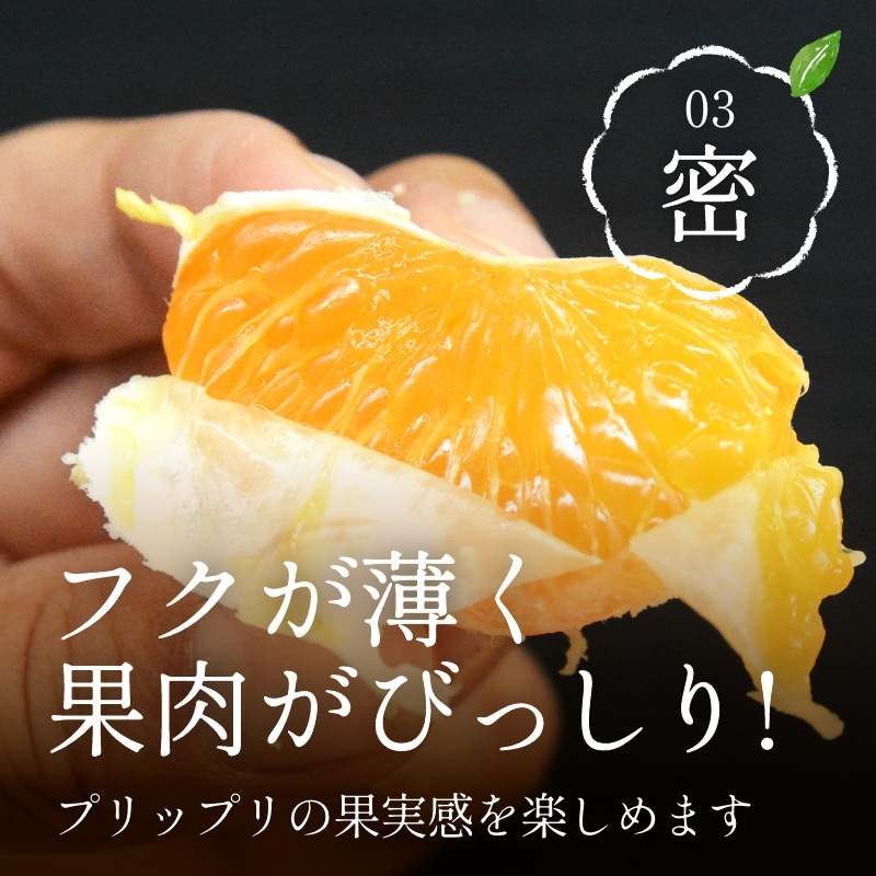 三ケ日みかん「早生（わせ）」8kg（S～LLミックスサイズ）（秀品相当）