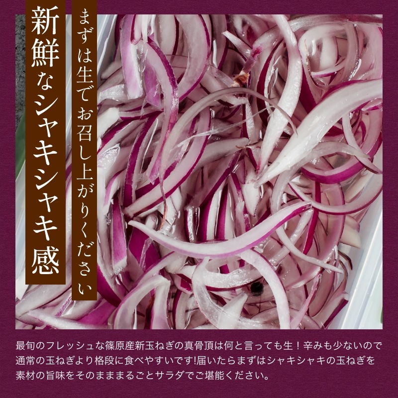 浜松産赤玉ねぎプレミアムレッド無選別品（5kg）