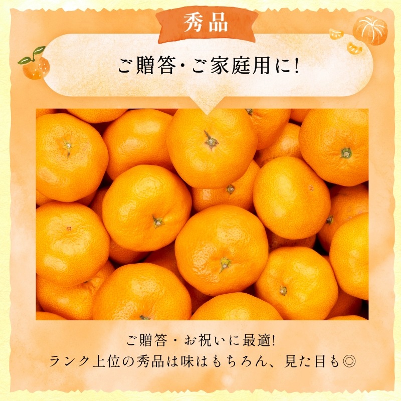 三ケ日濃厚熟みかん「青島」4kg(S~LLサイズ)(秀品相当)