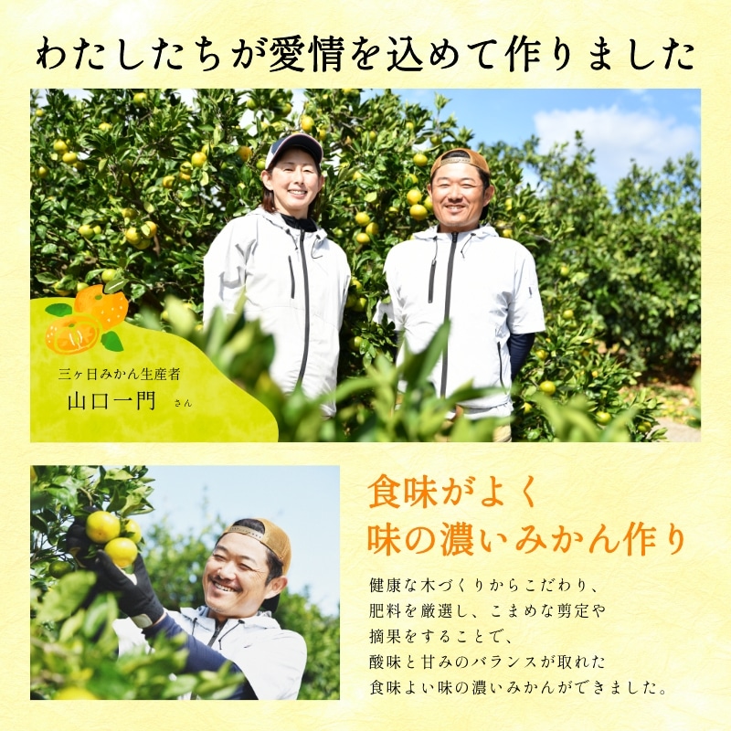 三ケ日濃厚熟みかん「青島」4kg(S~LLサイズ)(秀品相当)