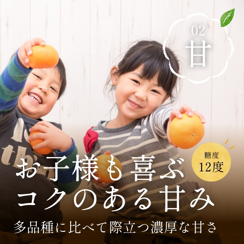 三ケ日濃厚熟みかん「青島」4kg(S~LLサイズ)(秀品相当)