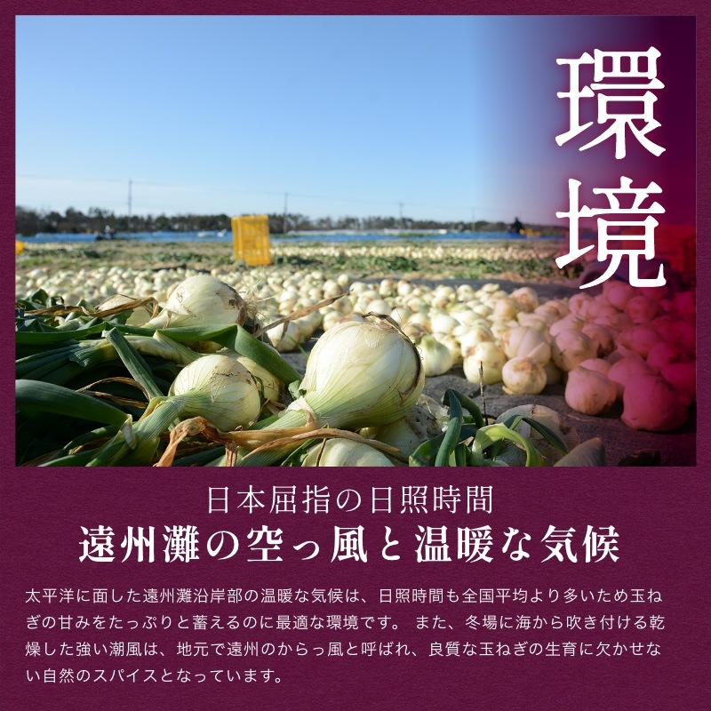 浜松産赤玉ねぎプレミアムレッド無選別品（10kg）