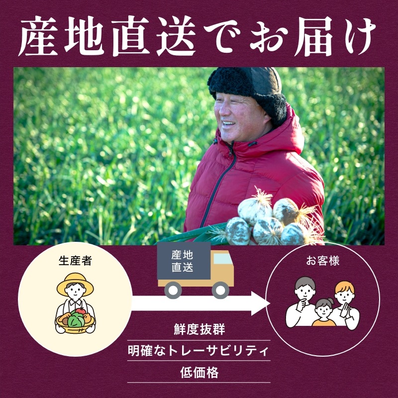 浜松産赤玉ねぎプレミアムレッド無選別品（10kg）