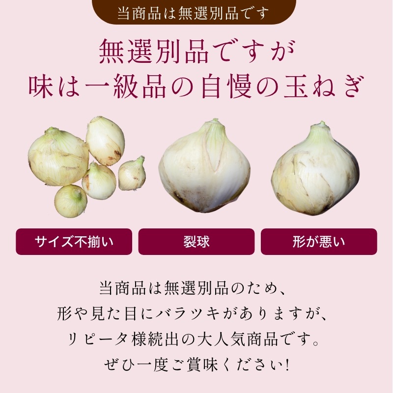 浜松産赤玉ねぎプレミアムレッド無選別品（10kg）