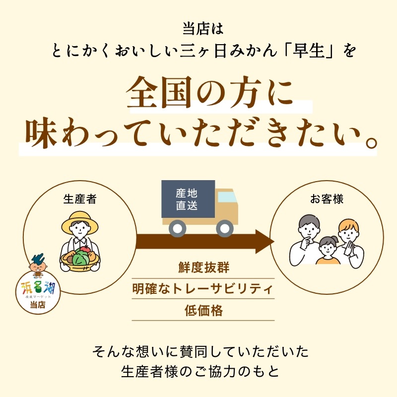 三ケ日濃厚熟みかん「青島」8kg(S～LLサイズ)（秀品相当）