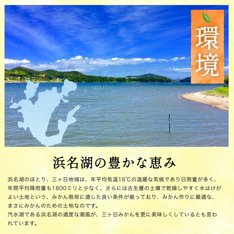 三ケ日濃厚熟みかん「青島」8kg(S～LLサイズ)（秀品相当）