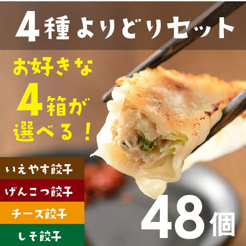 【行列店の浜松餃子】和風だし香る無添加絶品餃子4種よりどりセット【48個】