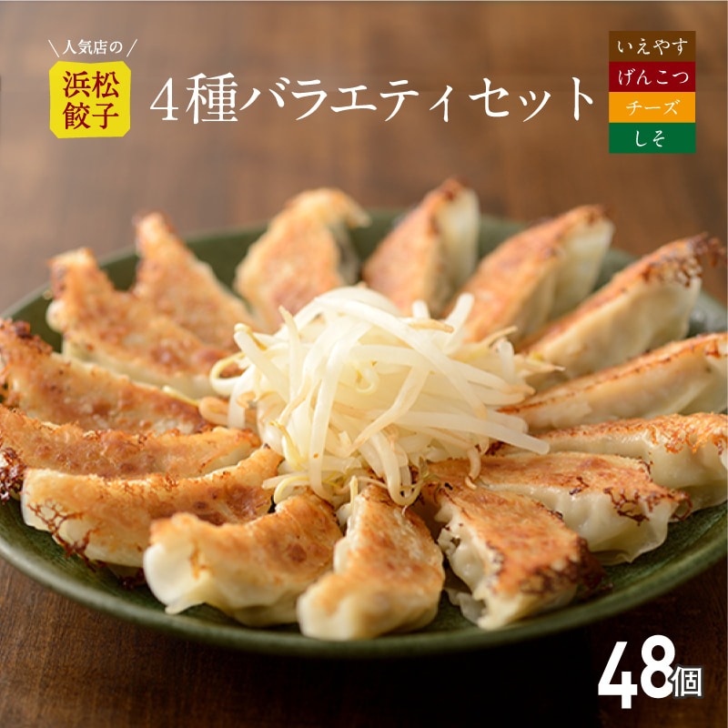 【行列店の浜松餃子】いえやす餃子4種を一度に楽しめる4種バラエティーセット【48個】贈答用