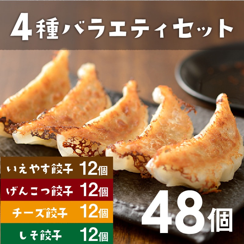 【行列店の浜松餃子】いえやす餃子4種を一度に楽しめる4種バラエティーセット【48個】贈答用