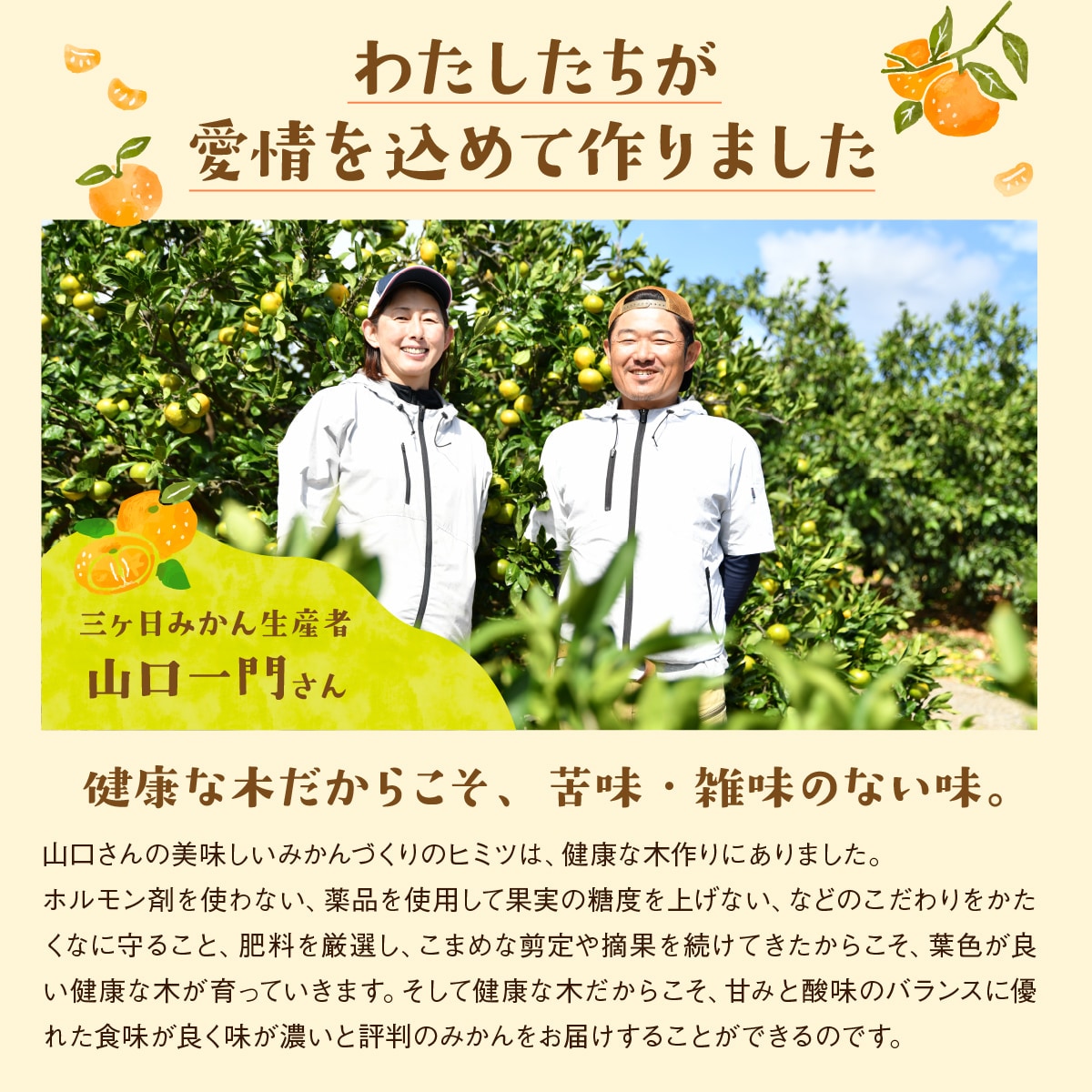 超濃厚！三ヶ日みかんシロップ漬け -燈(あかり)- 900g×2本