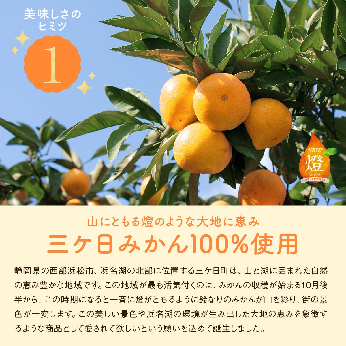 超濃厚！三ヶ日みかんシロップ漬け -燈(あかり)- 900g×2本 - 浜名湖