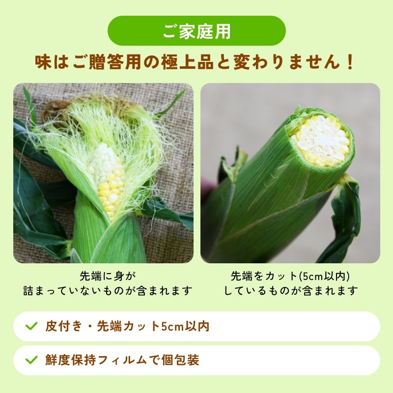 静岡県産とうもろこし 甘々娘甘太郎（かんかんむすめかんたろう）L～3Lサイズ4～6本入り ご贈答用 期間数量限定