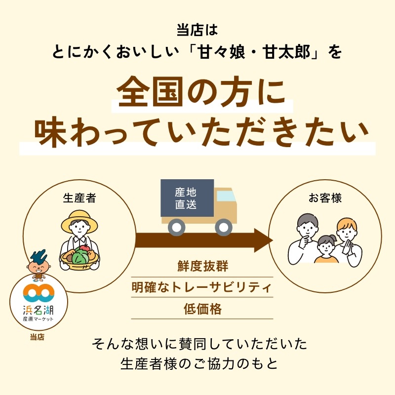 静岡県産とうもろこし 甘々娘甘太郎（かんかんむすめかんたろう）L～3Lサイズ4～6本入り ご贈答用 期間数量限定