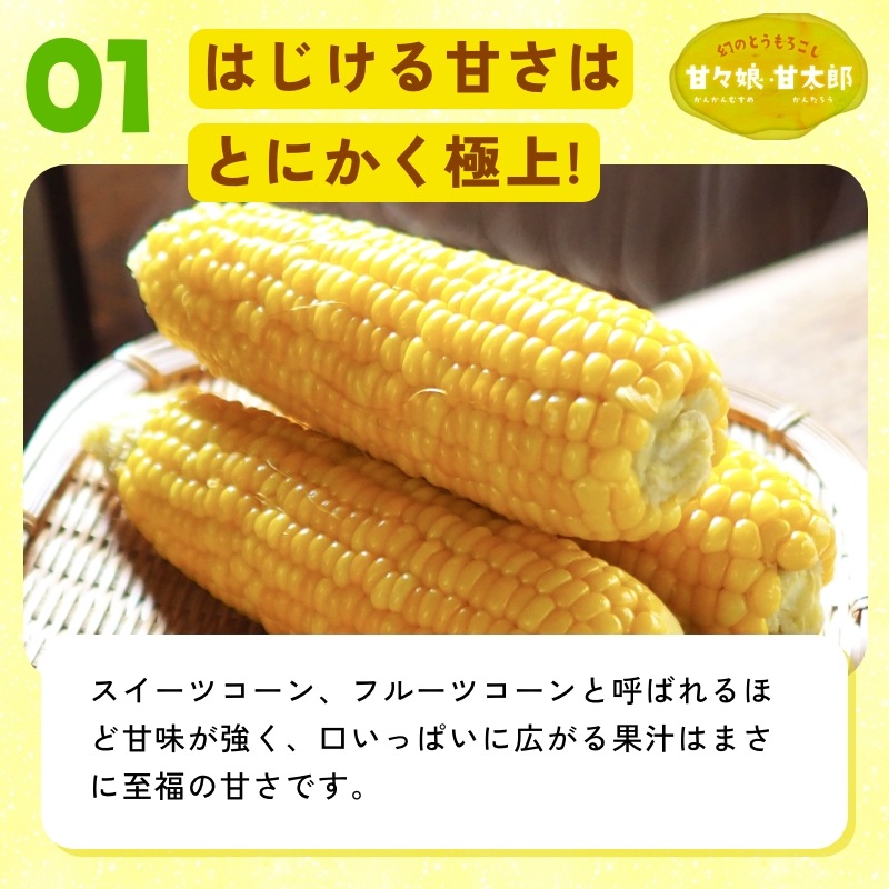 静岡県産とうもろこし 甘々娘甘太郎（かんかんむすめかんたろう）L～3Lサイズ4～6本入り ご贈答用 期間数量限定