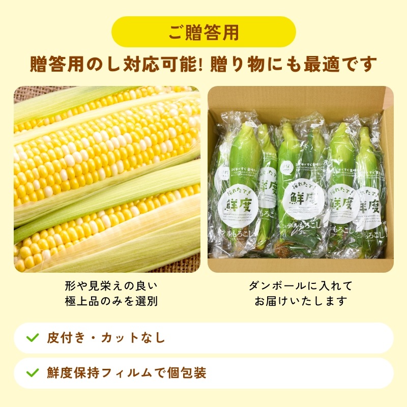 静岡県産とうもろこし 甘々娘甘太郎（かんかんむすめかんたろう）L～3Lサイズ4～6本入り ご贈答用 期間数量限定