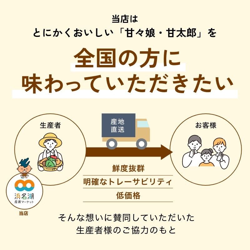 静岡県産とうもろこし 甘々娘甘太郎(かんかんむすめかんたろう)M~3Lサイズ4~7本入り ご家庭用 期間数量限定