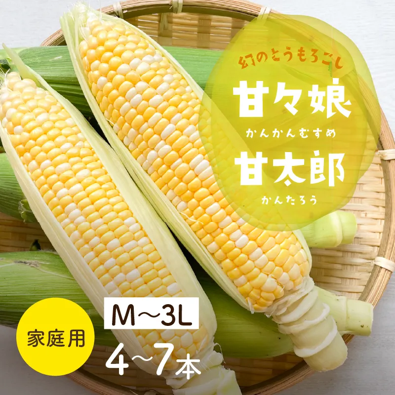 静岡県産とうもろこし 甘々娘甘太郎（かんかんむすめかんたろう）M～3L
