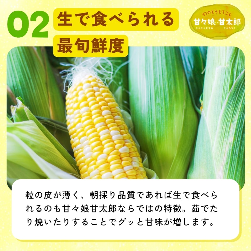 静岡県産とうもろこし 甘々娘甘太郎（かんかんむすめかんたろう）M～3L