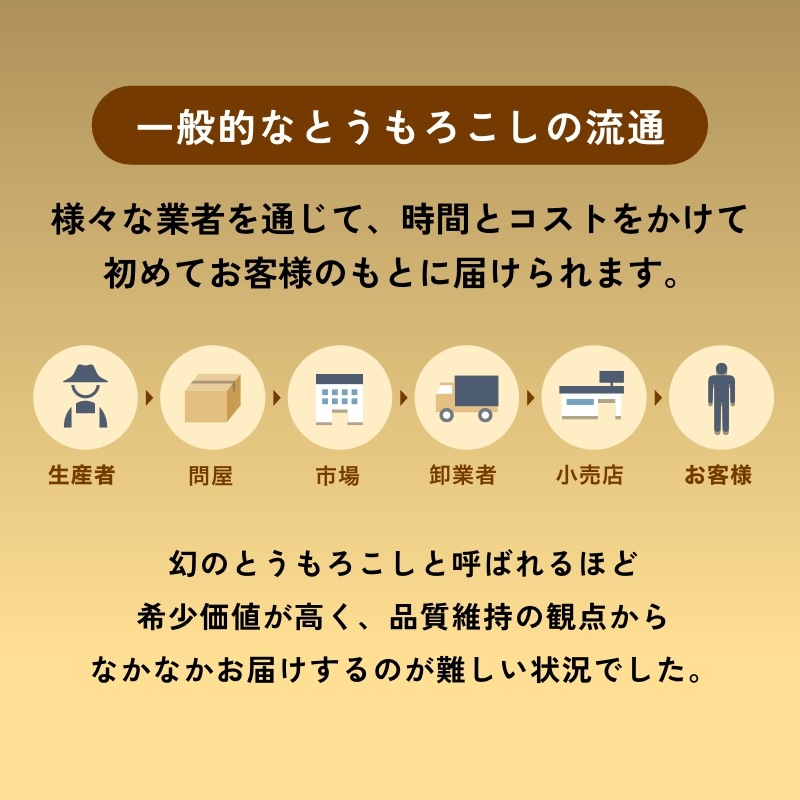 静岡県産とうもろこし 甘々娘甘太郎(かんかんむすめかんたろう)M~3Lサイズ7~10本入り ご家庭用 期間数量限定
