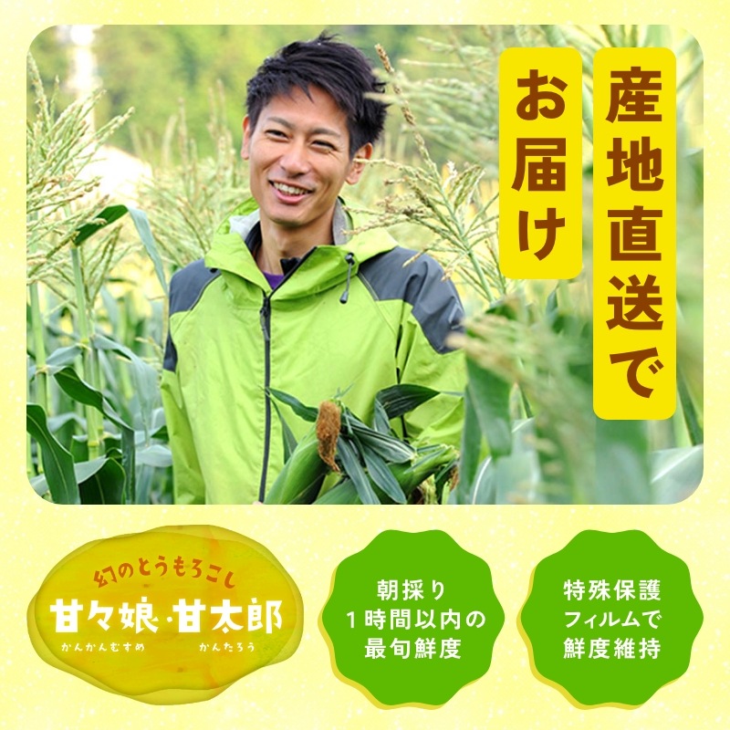 静岡県産とうもろこし 甘々娘甘太郎(かんかんむすめかんたろう)M~3Lサイズ7~10本入り ご家庭用 期間数量限定