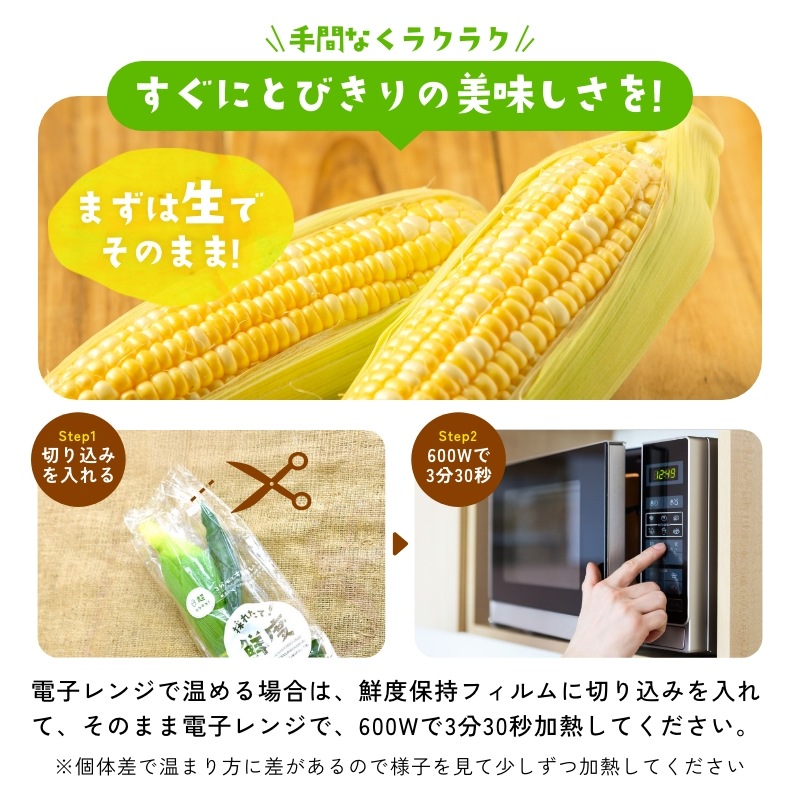 静岡県産とうもろこし 甘々娘甘太郎(かんかんむすめかんたろう)M~3Lサイズ7~10本入り ご家庭用 期間数量限定