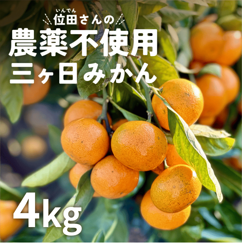位田さんの農薬不使用三ヶ日みかん 4kg（極早生）