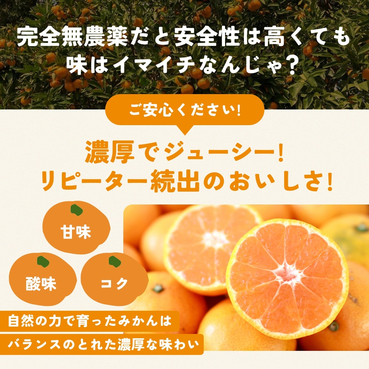 位田さんの完全無農薬三ヶ日みかん 4kg