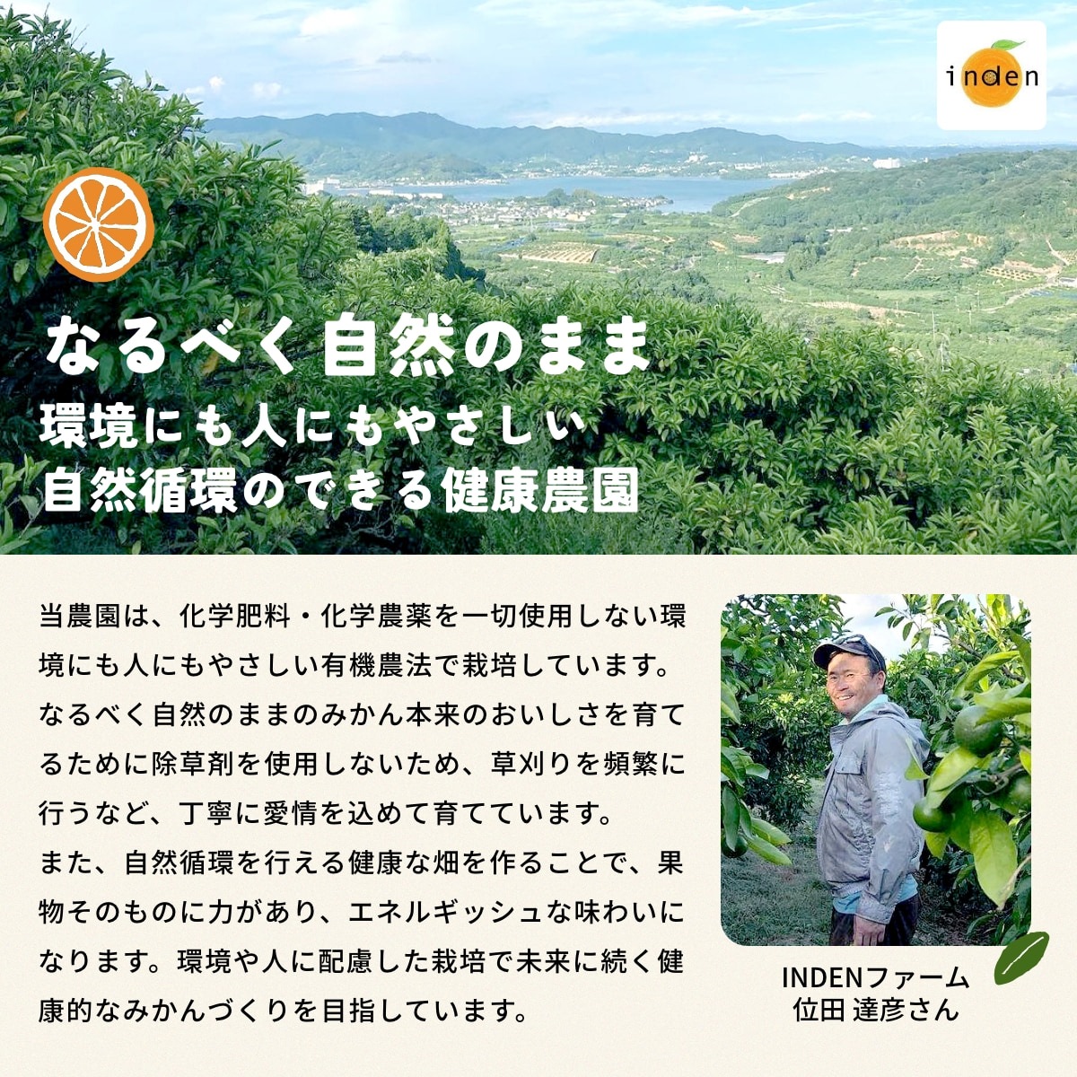 位田さんの完全無農薬三ヶ日みかん 4kg