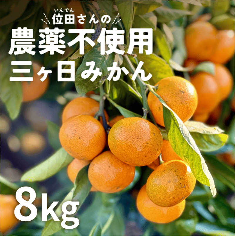 位田さんの農薬不使用三ヶ日みかん 8kg(極早生)