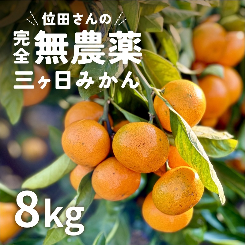 位田さんの完全無農薬三ヶ日みかん 8kg - 浜名湖産直マーケット