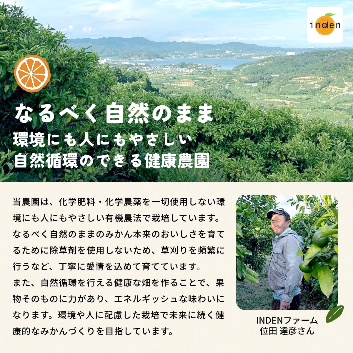 位田さんの完全無農薬三ヶ日みかん 8kg