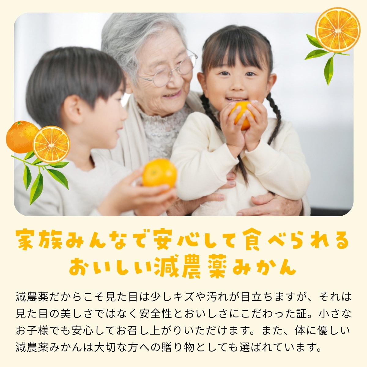 【早生小玉3S～S】 高平さんの減農薬 三ヶ日みかん 4kg