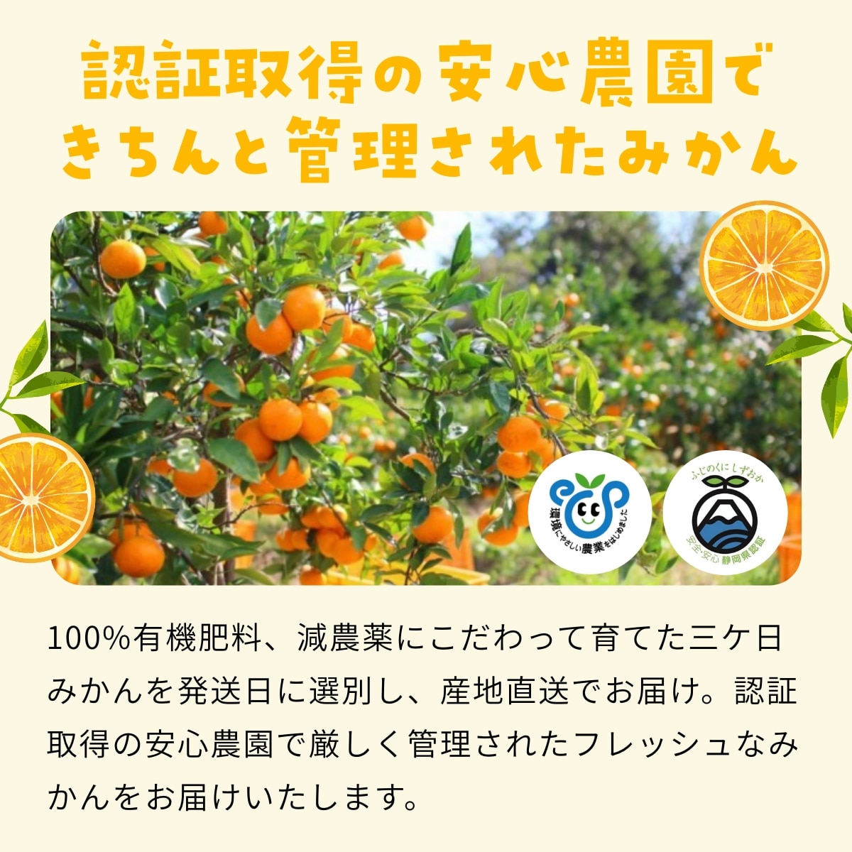 【早生小玉3S～S】 高平さんの減農薬 三ヶ日みかん 4kg