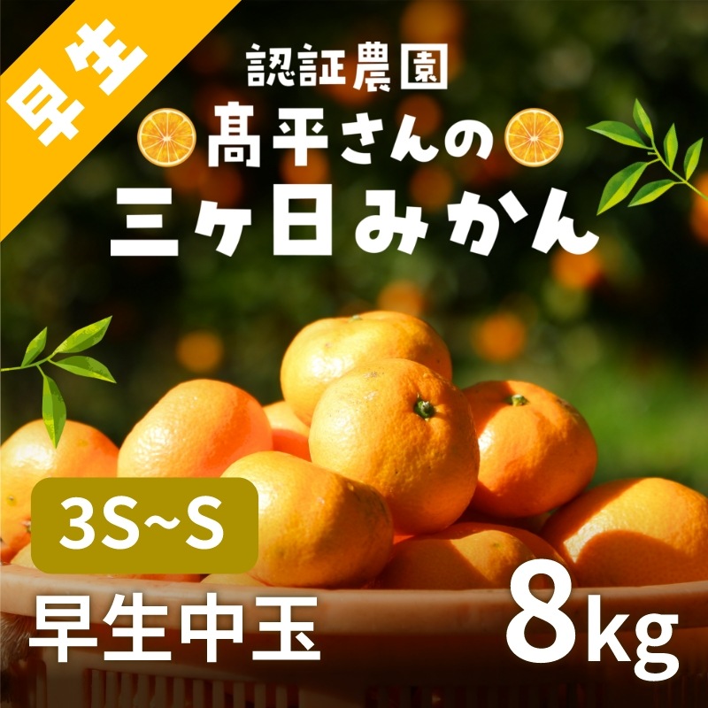【早生小玉3S～S】 認証農園髙平さんの 三ヶ日みかん 8kg