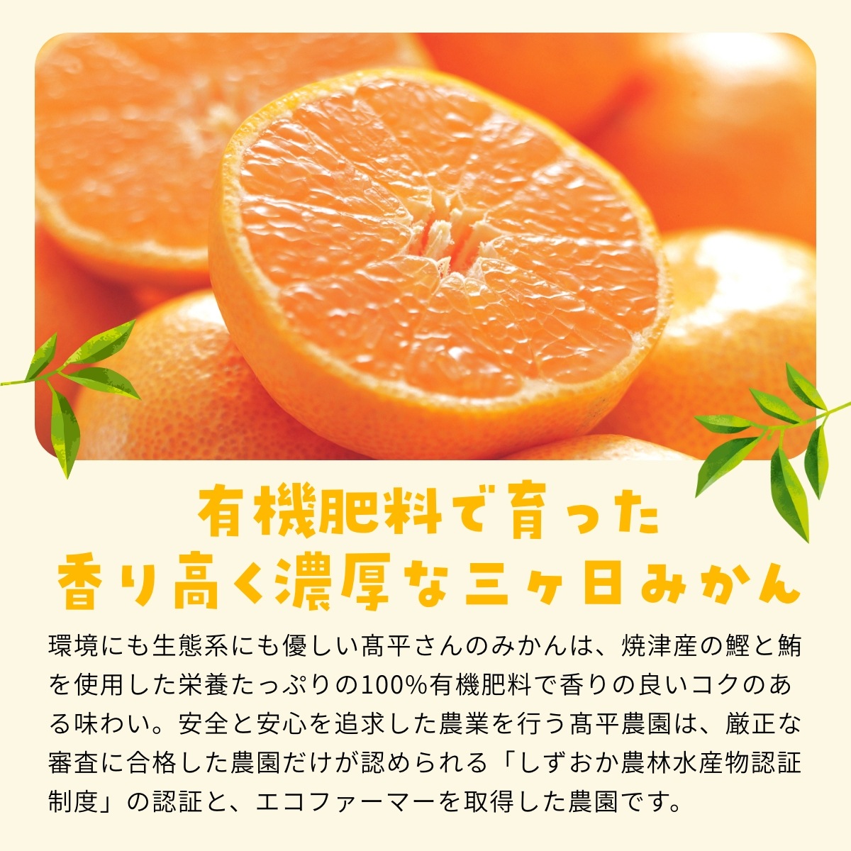 【早生小玉3S～S】 認証農園髙平さんの 三ヶ日みかん 8kg