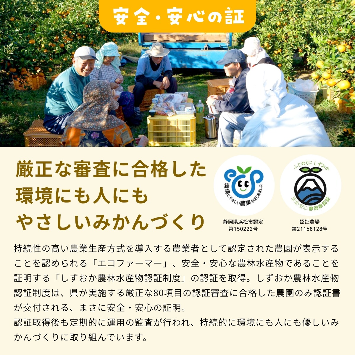 【早生小玉3S～S】 認証農園髙平さんの 三ヶ日みかん 8kg